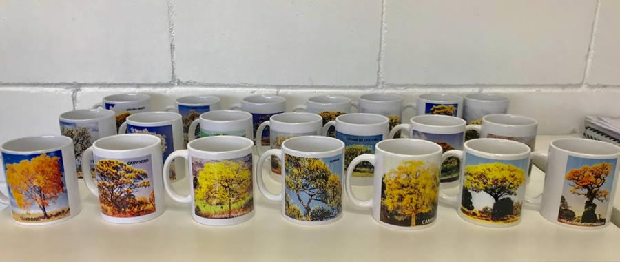 Canecas que foram distribuídas aos funcionários da DELGO