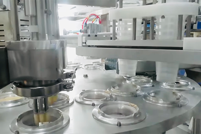 Envasadora automática para garrafas de molhos e cremes | DELGO