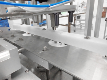 Envasadora de frascos - movimento linear - DELGO